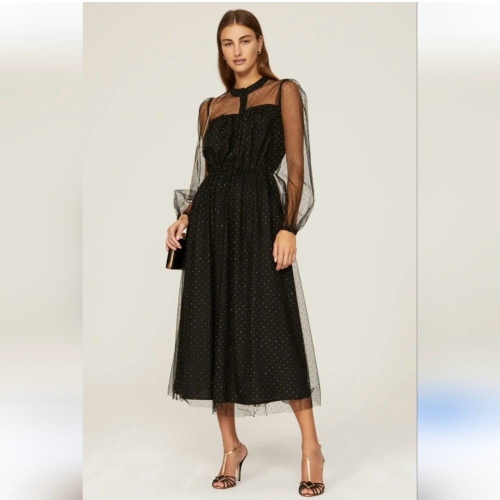 Adam Lippes Collective Elegant Black Sheer Tulle Midi Dress